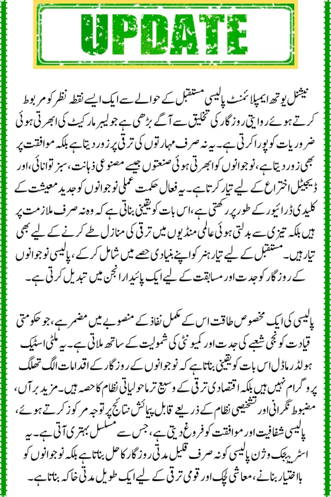 National Youth Employment Policy, Notable Elements and Implementation Plan
