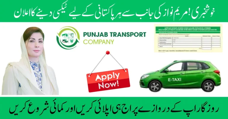 CM Punjab E-Taxi Scheme 2025, Government Subsidies and Bank Financing Options